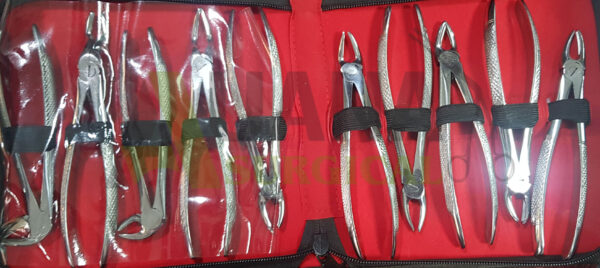 Tooth extracting forceps set of 10 pieces