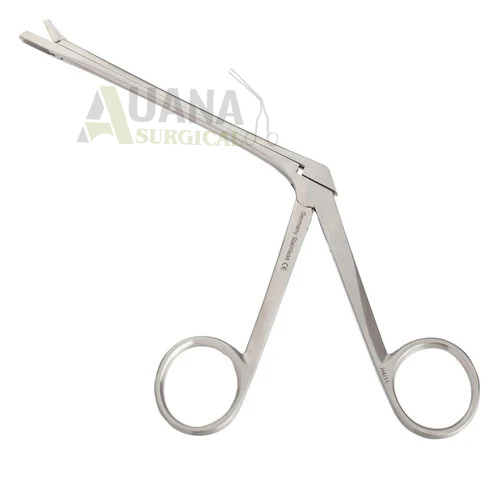 Gruenwald Bryant Nasal Cutting Forceps