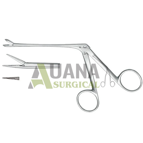 wullstein alligator ear forceps